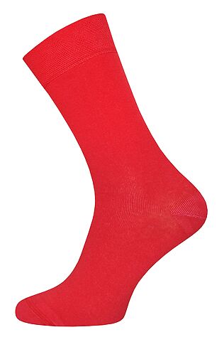 БРЕСТСКИЕ Носки #1045134