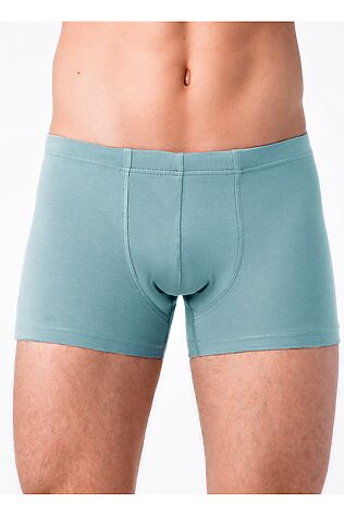 БРЕСТСКИЕ Трусы #1073065