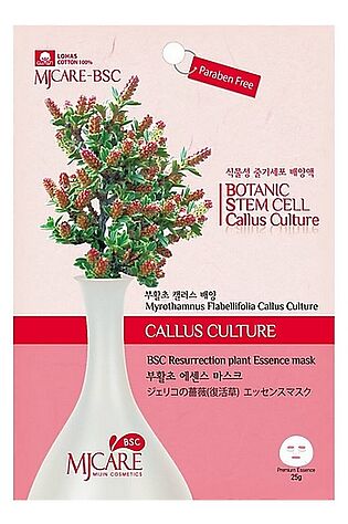 KRISTALLER MIJIN Маска тканевая с экстрактом миротамнуса / MJ Care BSC Resurrection Plant Essence Mask, 25 г #1110065