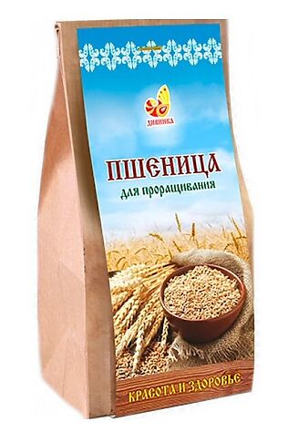 ЭКО-ПРОДУКТЫ Пшеница зерно для проращивания пакет 500г #1182543