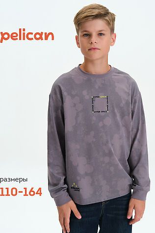 PELICAN Джемпер #1188911