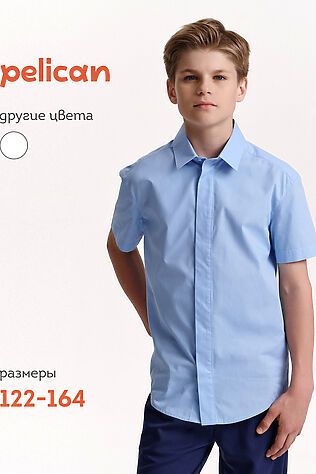 PELICAN Рубашка #1188928