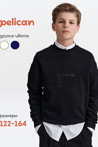 PELICAN Свитшот #1188931
