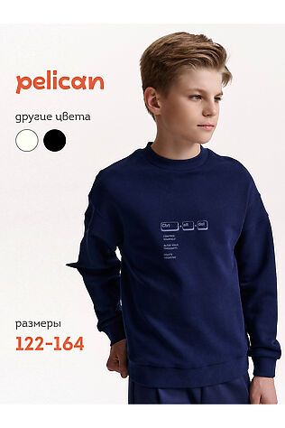 PELICAN Свитшот #1188932