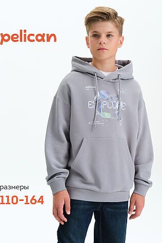 PELICAN Худи #1188933