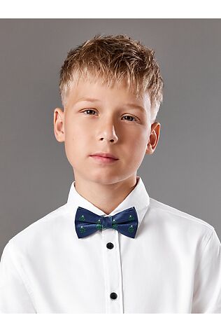 ACOOLA Галстук-бабочка #1215582