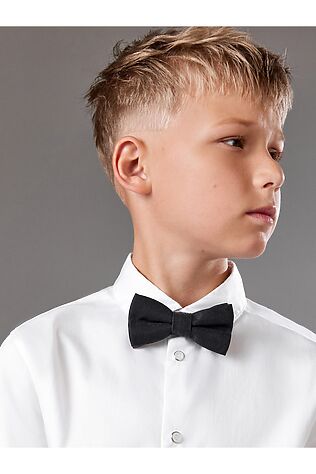 ACOOLA Галстук-бабочка #1215597