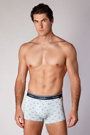 INDEFINI Трусы #1216008