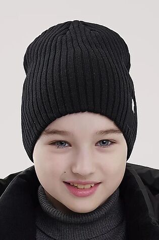 CLEVER Шапка #1218323