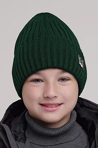 CLEVER Шапка #1218330