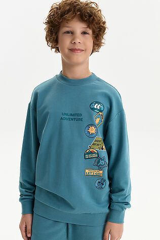 PELICAN Свитшот #1232792