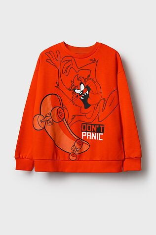 PLAYTODAY Толстовка трикотажная для мальчиков #1241964