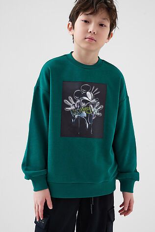 PLAYTODAY Толстовка трикотажная для мальчиков #1245043