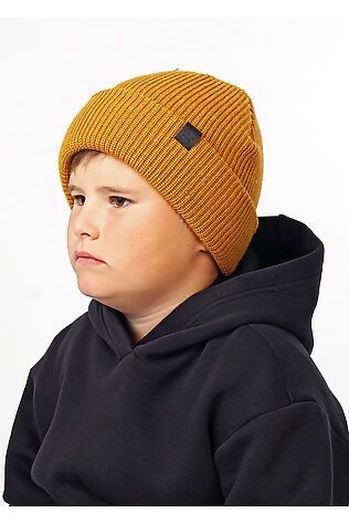 CLEVER Шапка #820606