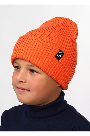 CLEVER Шапка #840659