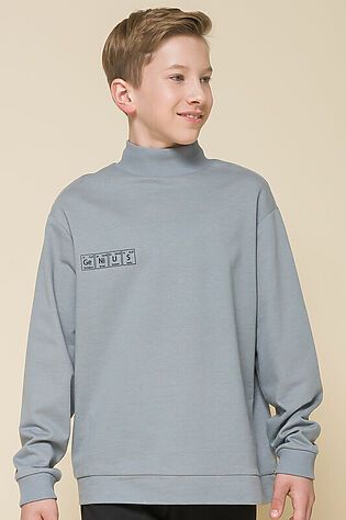 PELICAN Толстовка  #889874