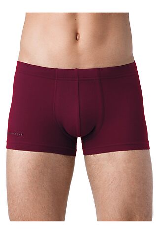 БРЕСТСКИЕ Трусы #931161