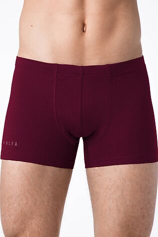 БРЕСТСКИЕ Трусы #931166