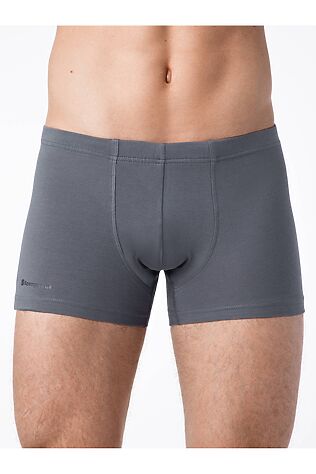 БРЕСТСКИЕ Трусы #931167