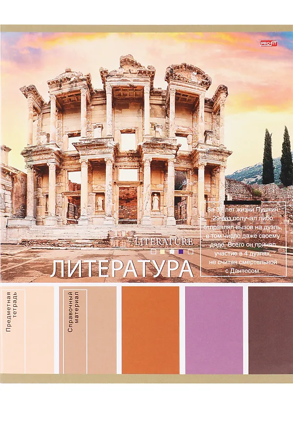 TM Profit Тетрадь ЛИНИЯ 36л. ЛИТЕРАТУРА «PANTONE» (36-9322) эконом, б/о НАТАЛИ, в ассортименте - фото 1