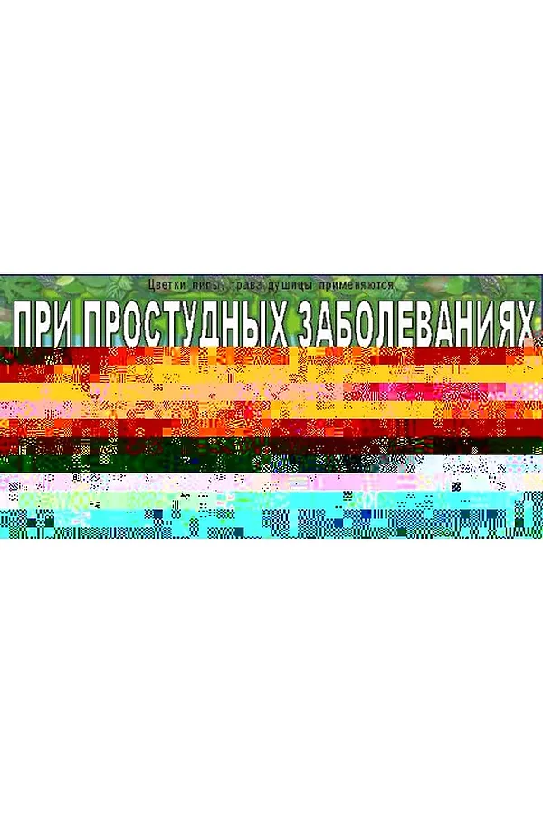 Чай № 39 От простуды 20х1,5г ЭКОПРОДУКТЫ, - - фото 1