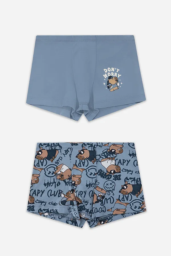 Трусы для мальчиков (2шт.) MARK FORMELLE, голубой +крутые капибары на голубом - фото 1