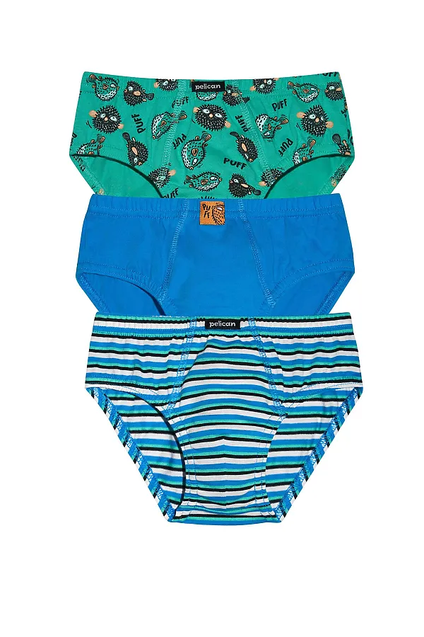 Набор трусов для мальчиков PELICAN, лазурный/ментол/лазурный - фото 1