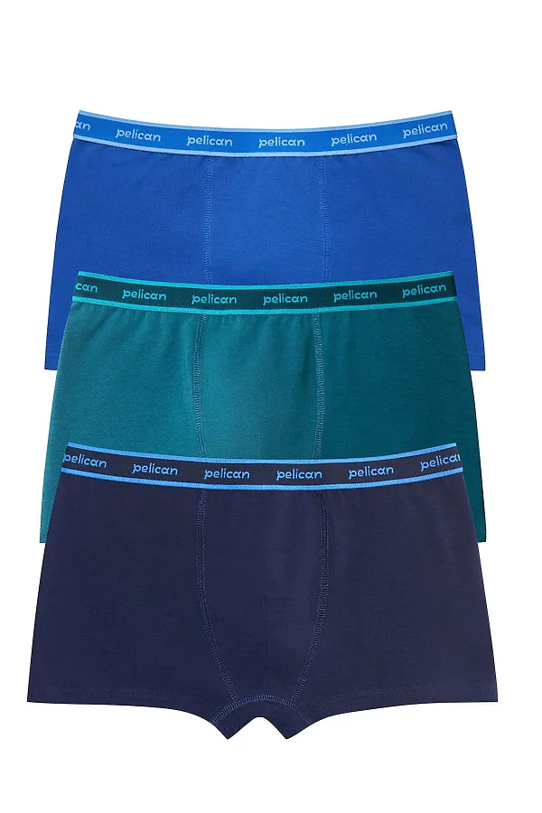 Набор трусов для мальчиков PELICAN, синий/джинс/темно-зеленый - фото 1