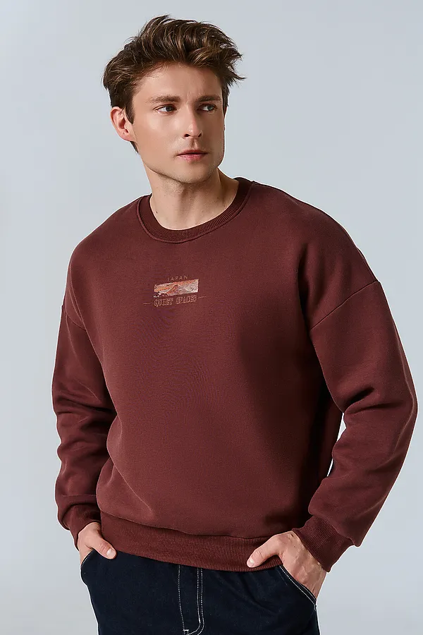 Свитшот мужской MARK FORMELLE, т.шоколадный +печать - фото 1