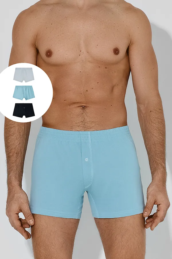 Трусы мужские (3шт) MARK FORMELLE, полынь +лунный луч +черный - фото 1