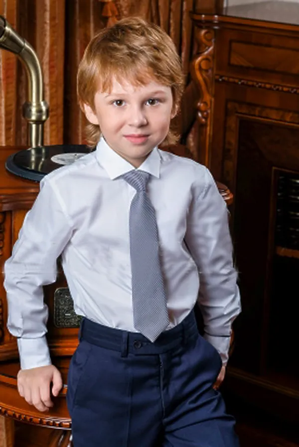 Галстук 5 шт. ALOLIKA, сергей св.серый - фото 1