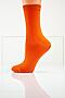 Носки GIULIA (Оранжевый) WSL COLOR orange #112451