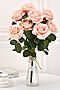 Букет роз "Роза Марена" MERSADA (Персиковый, темно-зеленый,) 300827 #747573