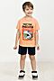 Костюм (футболка +шорты) PELICAN (Оранжевый) BFATH3267/1 #750409