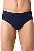 navy-electric blue