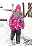 Фуксия
