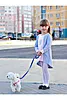 Меланжево-серый
